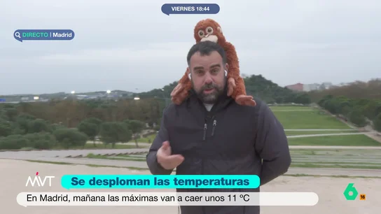 Javier Bastida, con el mono Punch Javier Bastida, con el mono Punch