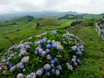 Islas Azores Islas Azores