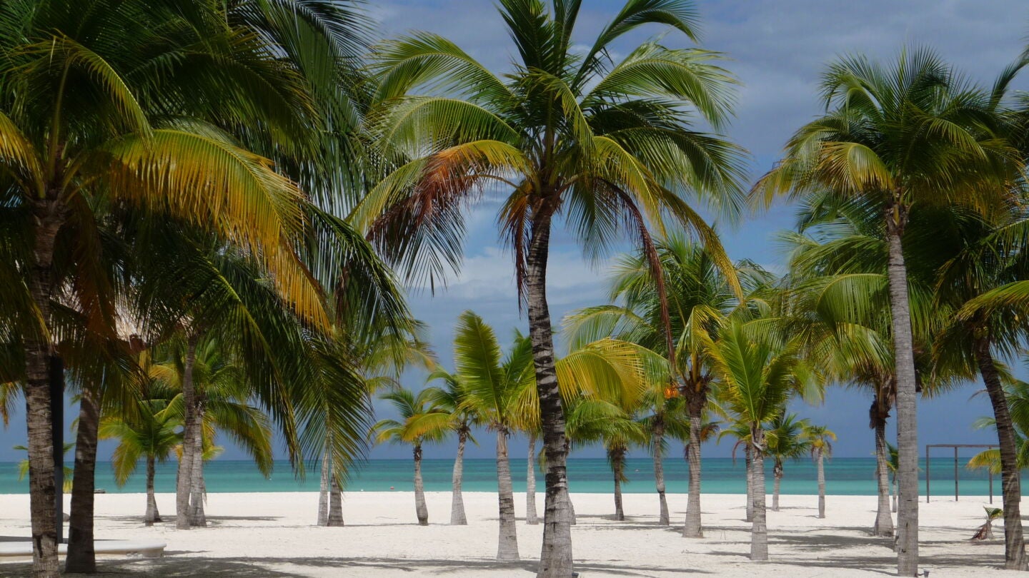 Isla Pasi&oacute;n, M&eacute;xico