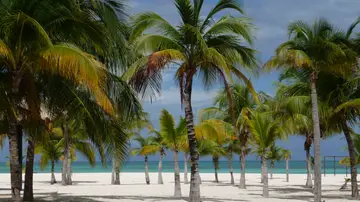 Isla Pasión, México Isla Pasión, México