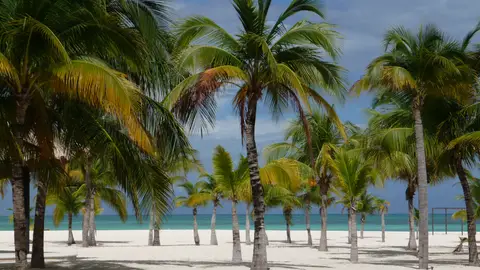 Isla Pasión, México Isla Pasión, México