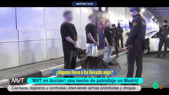 MVT EN ACCION 2304 MVT EN ACCION 2304