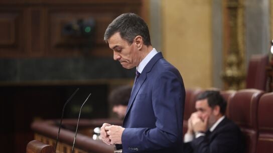 Pedro S&aacute;nchez en el Congreso de los Diputados