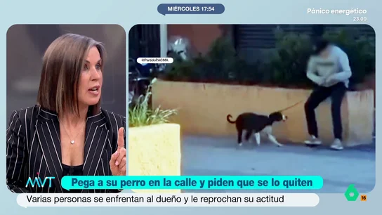 Beatriz de Vicente, sobre el hombre grabado mientras agredía a su perro: "Se le puede retirar la guardia y custodia a este bestia" El agresor fue grabado mientras golpeaba a su cachorro. Un vecino de la zona se acercó a él para increparle por lo que estaba haciendo al animal.