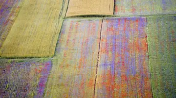 Floración en Italia Floración en Italia