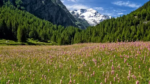 Valle de Aosta Valle de Aosta