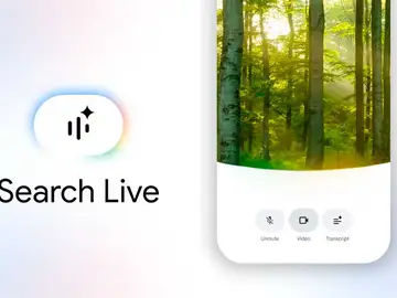 El modo de búsqueda en vivo El modo de búsqueda en vivo