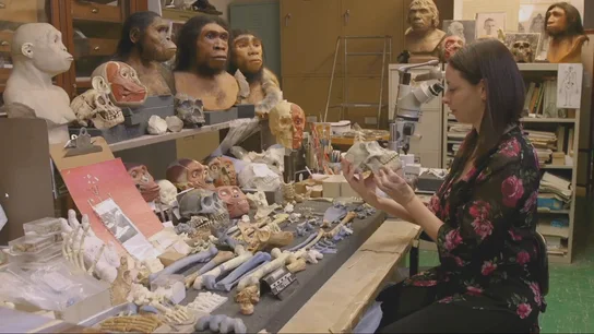 Investigadora que ha dejado EEUU por las políticas de Trump Investigadora que ha dejado EEUU por las políticas de Trump