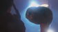 'E.T. el extraterrestre'