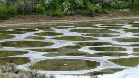 Spotted Lake Spotted Lake