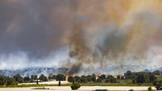 Imagen del incendio forestal originado en Sierra Espu&ntilde;a (Murcia)