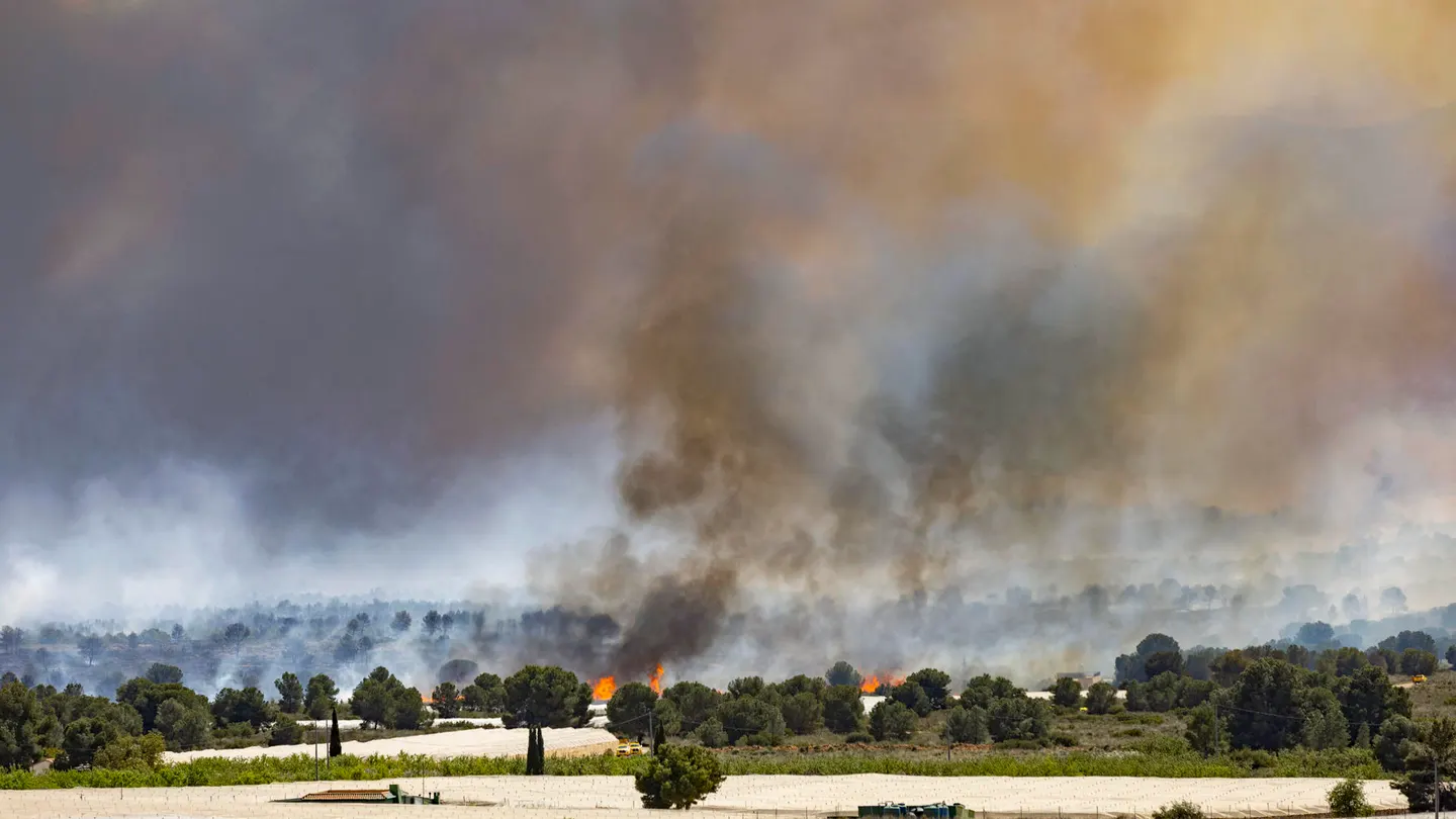 Imagen del incendio forestal originado en Sierra Espuña (Murcia) Imagen del incendio forestal originado en Sierra Espuña (Murcia)
