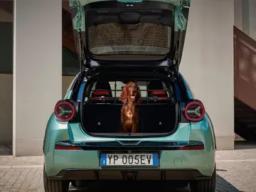 Lancia piensa en tus mascotas: estos son los accesorios que ofrece en su tienda online Lancia piensa en tus mascotas: estos son los accesorios que ofrece en su tienda online