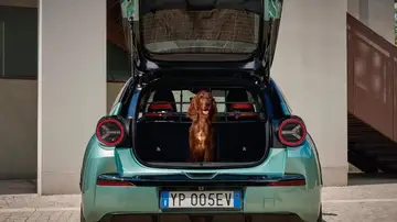 Lancia piensa en tus mascotas: estos son los accesorios que ofrece en su tienda online Lancia piensa en tus mascotas: estos son los accesorios que ofrece en su tienda online