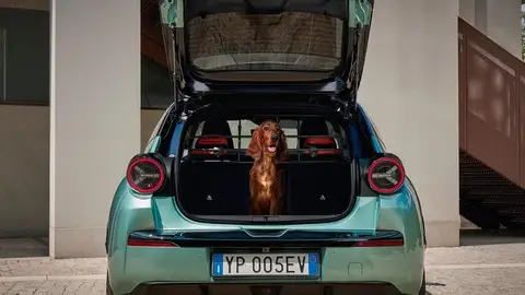 Lancia piensa en tus mascotas: estos son los accesorios que ofrece en su tienda online Lancia piensa en tus mascotas: estos son los accesorios que ofrece en su tienda online