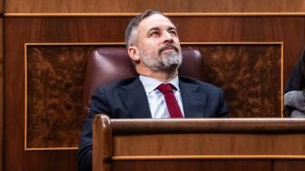 El presidente de Vox, Santiago Abascal, en el Congreso de los Diputados. 