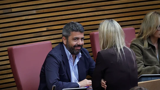 El expresident de la Generalitat Carlos Mazón, en un pleno de Les Corts El expresident de la Generalitat Carlos Mazón, en un pleno de Les Corts