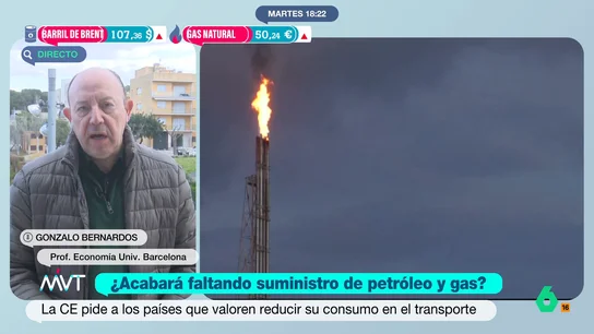 bernardos MVT bernardos MVT