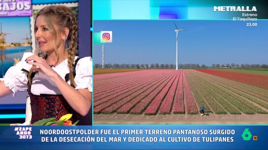 Si viajamos a Pa&iacute;ses Bajos en esta &eacute;poca del a&ntilde;o, una visita a los espectaculares campos de tulipanes es una parada imprescindible. Marina Comes lo ha hecho y, en este v&iacute;deo, desvela la mejor zona para hacerlo... y la m&aacute;s masificada.