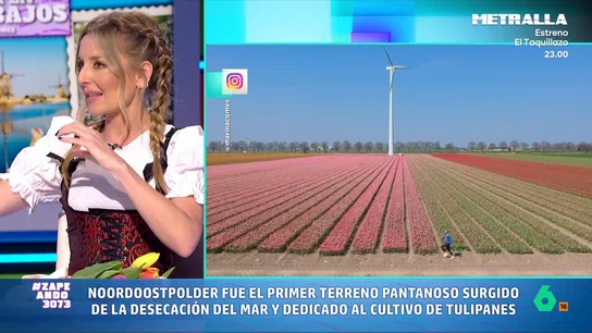 Marina Comes desvela su 'secreto' para disfrutar de los campos de tulipanes en Países Bajos sin masificaciones Si viajamos a Países Bajos en esta época del año, una visita a los espectaculares campos de tulipanes es una parada imprescindible. Marina Comes lo ha hecho y, en este vídeo, desvela la mejor zona para hacerlo... y la más masificada.