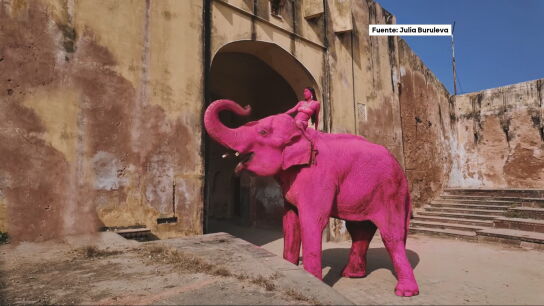Chanchal, el elefante pintado de rosa