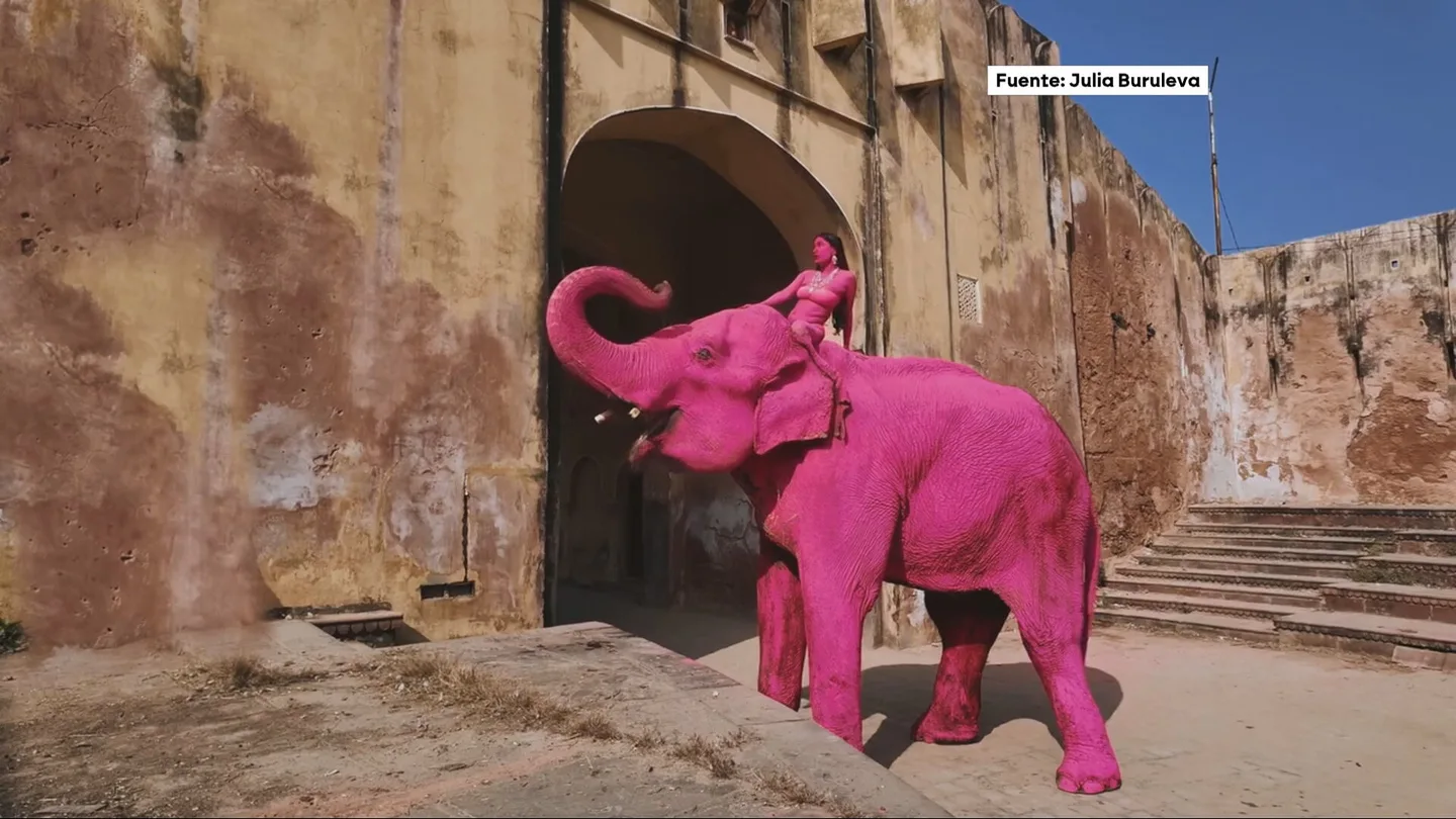 Chanchal, el elefante pintado de rosa Chanchal, el elefante pintado de rosa