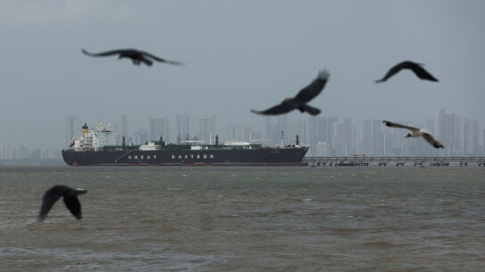 Varias aves sobrevuelan el buque Jag Vasant, que transfiere gas licuado de petr&oacute;leo (GLP) en un puerto tras transitar por el estrecho de Ormuz