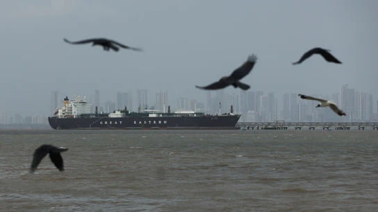 Varias aves sobrevuelan el buque Jag Vasant, que transfiere gas licuado de petróleo (GLP) en un puerto tras transitar por el estrecho de Ormuz Varias aves sobrevuelan el buque Jag Vasant, que transfiere gas licuado de petróleo (GLP) en un puerto tras transitar por el estrecho de Ormuz