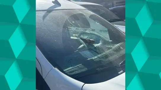 El hacha utilizada por el hombre detenido por desórdenes en Montefrío El hacha utilizada por el hombre detenido por desórdenes en Montefrío