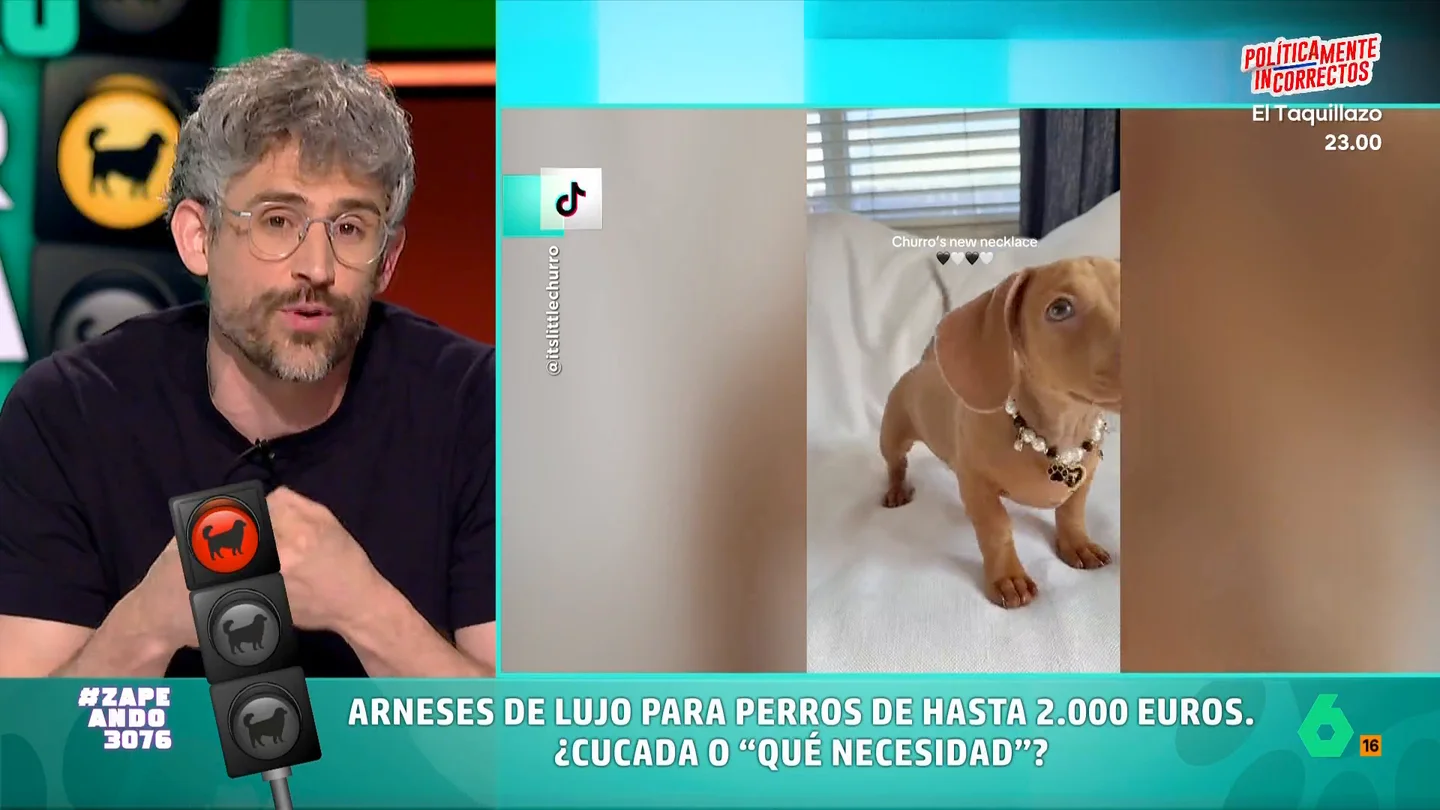 Víctor Algra sentencia los arneses para perros de Hermés: "El lujo no lo da una marca o un precio" Víctor Algra analiza la nueva tendencia en redes: arneses de diseño para perros que, en algunos casos, llegan hasta los 1.900 euros. El veterinario recuerda que "lo importante es que el material sea cómodo".