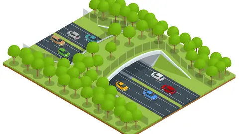 Ecoducto/puente verde Ecoducto/puente verde