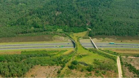 Ecoducto Países Bajos
