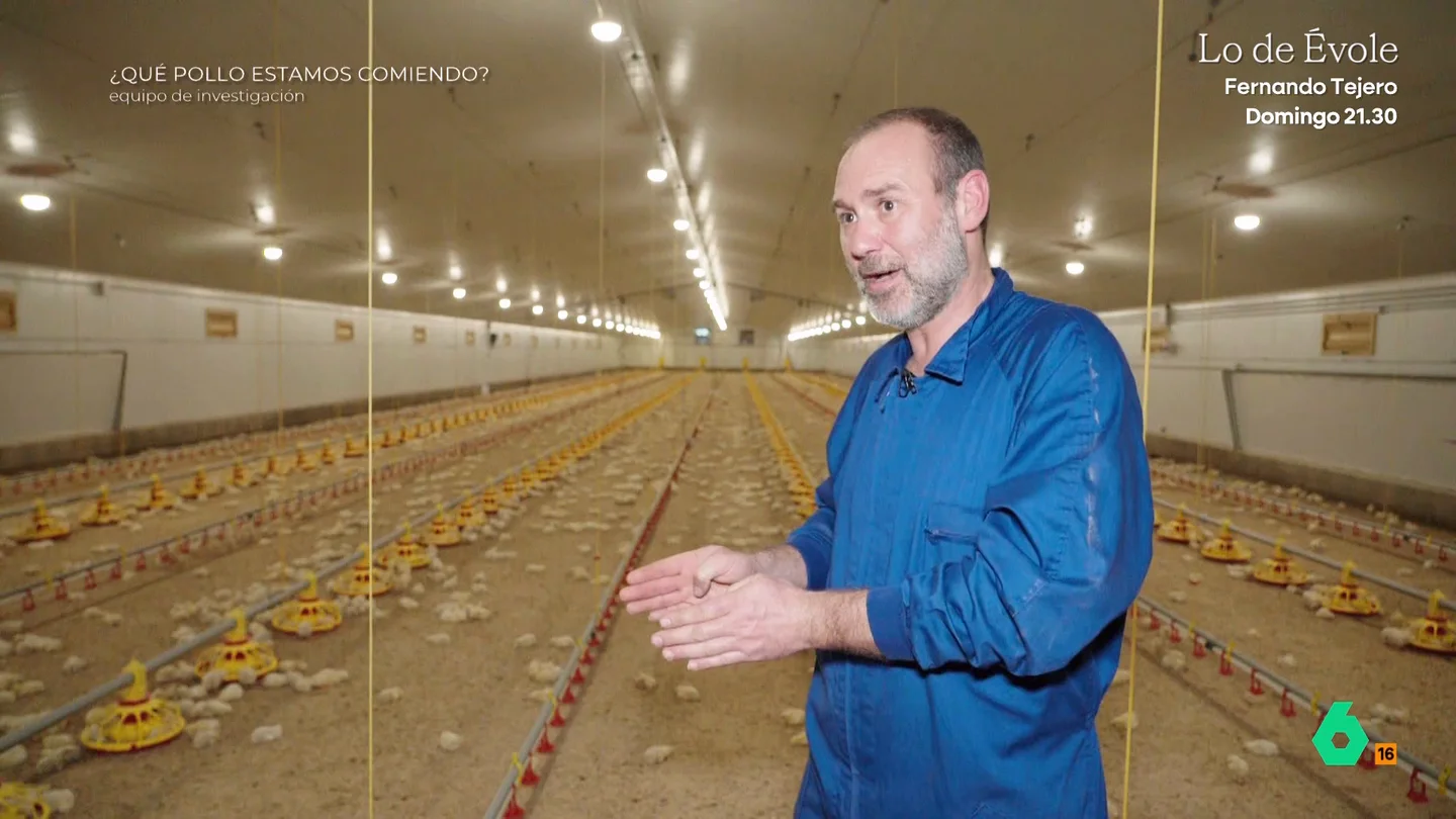 Equipo de Investigación se adentra en una granja automatizada de pollos: "Si los sacáramos a la calle, en 24 horas morirían" Equipo de Investigación visita una granja de pollos en Galicia donde solo dos personas se encargan de producir 100.000 polos al año. Su responsable explica cómo funciona y las condiciones concretas de los animales que se crían allí.