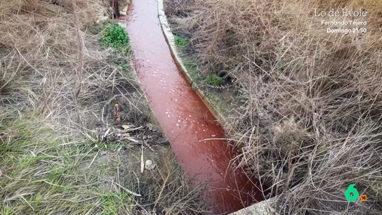 Un río con aguas rojo sangre y una depuradora "de juguete": las denuncias de los vecinos por los vertidos del matadero de Purullena Equipo de Investigación se traslada hasta Purullena, en Granada, para analizar la situación de una localidad en la que varios vecinos denuncian que los vertidos del matadero de la localidad están contaminando el agua del río.