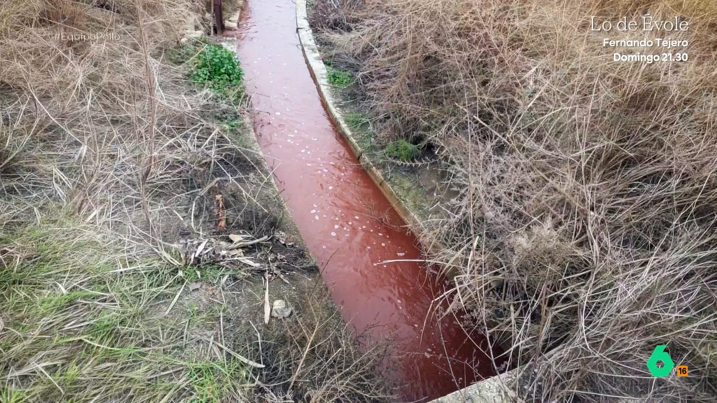 Un río con aguas rojo sangre y una depuradora "de juguete": las denuncias de los vecinos por los vertidos del matadero de Purullena Equipo de Investigación se traslada hasta Purullena, en Granada, para analizar la situación de una localidad en la que varios vecinos denuncian que los vertidos del matadero de la localidad están contaminando el agua del río.