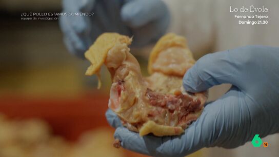 Equipo de Investigaci&oacute;n visita una f&aacute;brica de caldo de pollo que va en contra de lo habitual en el sector. Usa producto fresco y en cantidad y, en este v&iacute;deo, muestran c&oacute;mo lo hacen.