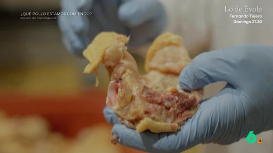 La fábrica de caldos de pollo que usa producto fresco y en cantidad Equipo de Investigación visita una fábrica de caldo de pollo que va en contra de lo habitual en el sector. Usa producto fresco y en cantidad y, en este vídeo, muestran cómo lo hacen.