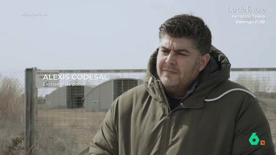 La queja de un avicultor sobre los estrechos márgenes de la cría de pollos Alexis Codesal montó una granja de pollos en un pueblo de León. Después tuvo que cerrar por el aumento de los costes y los bajos precios que marcan las integradoras, de las que dice que "los dueños de las granjas son esclavos".