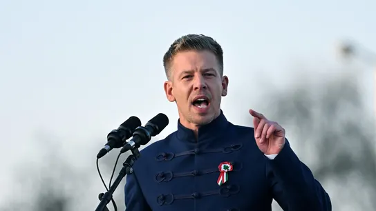 Imagen de archivo del líder del partido opositor Tisza, Péter Magyar Imagen de archivo del líder del partido opositor Tisza, Péter Magyar