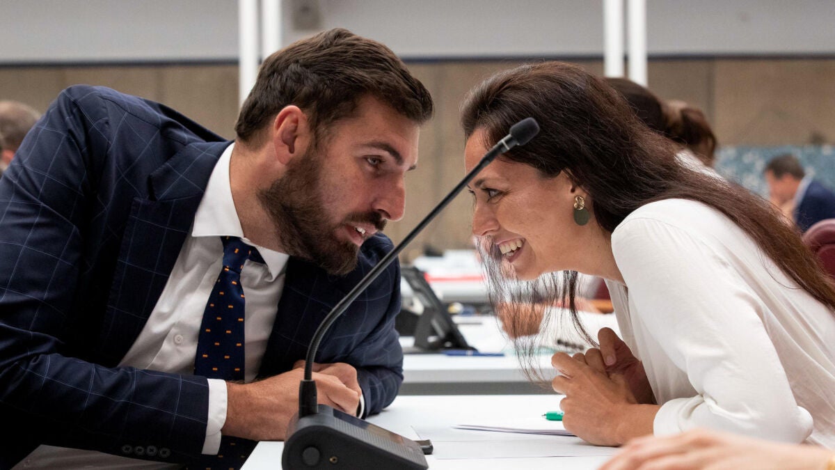 Nueva salida en Vox: una diputada en la Asamblea de Murcia abandona la formación para unirse a Antelo en el Grupo Mixto