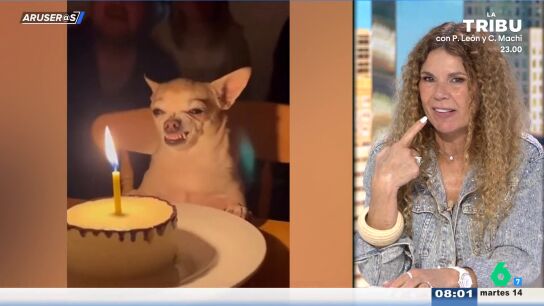 La divertida reacci&oacute;n de un chihuahua que parece gru&ntilde;ir a la tarta de su cumplea&ntilde;os