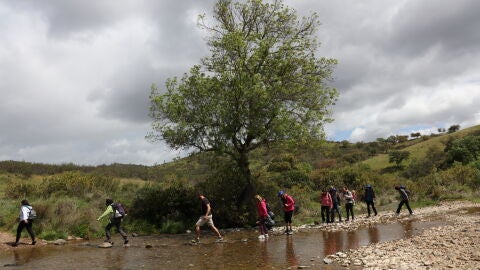 Walking Festival Ameixal