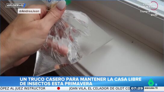 El truco casero para ahuyentar moscas y mosquitos en casa esta primavera