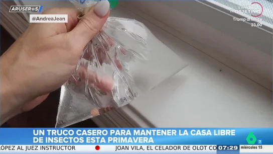 El truco casero para ahuyentar moscas y mosquitos en casa esta primavera El truco casero para ahuyentar moscas y mosquitos en casa esta primavera