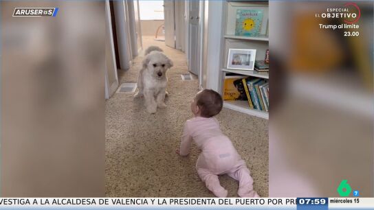 El divertido v&iacute;deo viral de un beb&eacute; con su perro: "Ser&aacute;n mejores amigos"