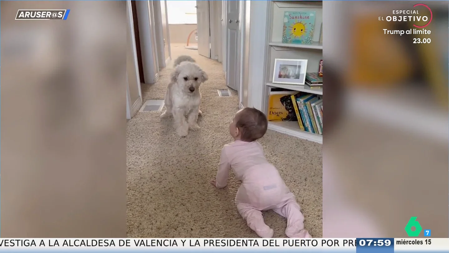 El divertido vídeo viral de un bebé con su perro: "Serán mejores amigos" El divertido vídeo viral de un bebé con su perro: "Serán mejores amigos"