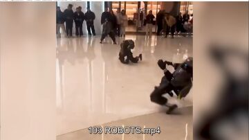 Robots