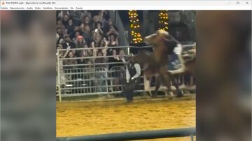 Rodeo