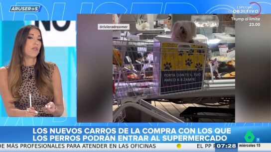 Los carros de la compra para ir con tu perro al supermercado ya son una realidad en Italia: "Nos han pasado la mano por la cara"