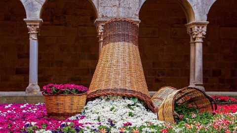 Girona Temps de Flors